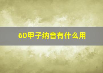 60甲子纳音有什么用