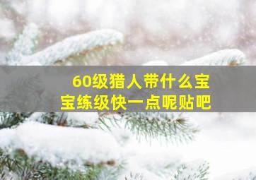 60级猎人带什么宝宝练级快一点呢贴吧