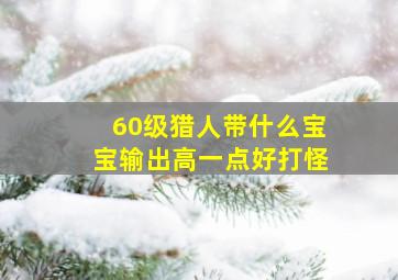 60级猎人带什么宝宝输出高一点好打怪