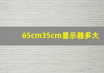 65cm35cm显示器多大