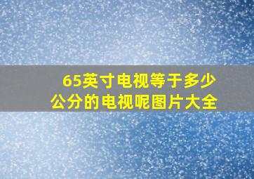 65英寸电视等于多少公分的电视呢图片大全