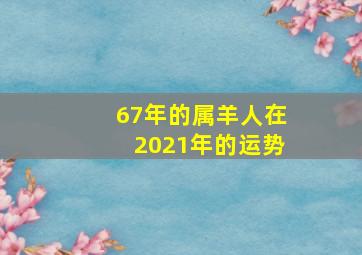 67年的属羊人在2021年的运势