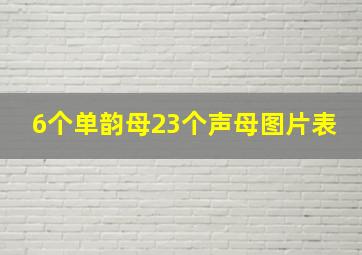 6个单韵母23个声母图片表