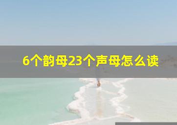 6个韵母23个声母怎么读