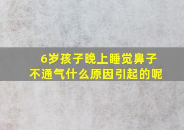 6岁孩子晚上睡觉鼻子不通气什么原因引起的呢