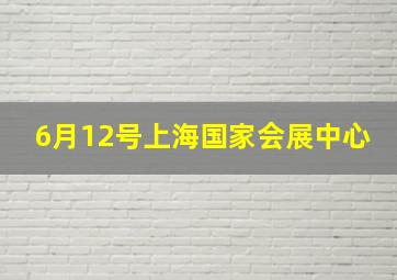 6月12号上海国家会展中心