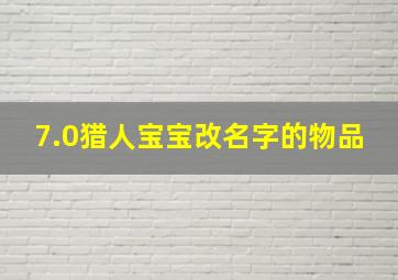 7.0猎人宝宝改名字的物品