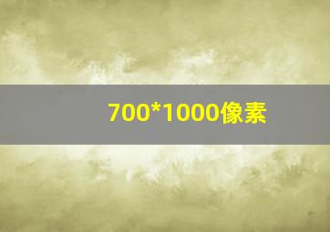 700*1000像素