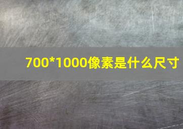 700*1000像素是什么尺寸