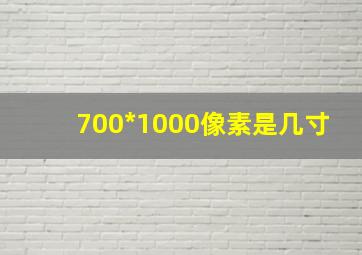 700*1000像素是几寸