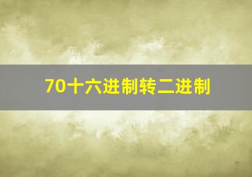 70十六进制转二进制