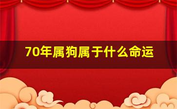 70年属狗属于什么命运