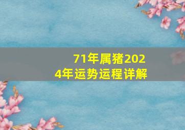 71年属猪2024年运势运程详解