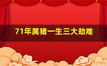 71年属猪一生三大劫难