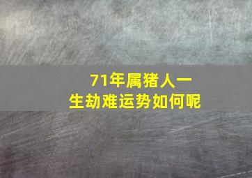 71年属猪人一生劫难运势如何呢