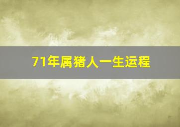 71年属猪人一生运程