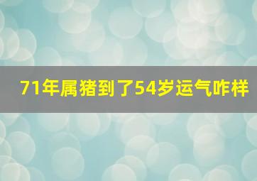 71年属猪到了54岁运气咋样