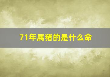 71年属猪的是什么命