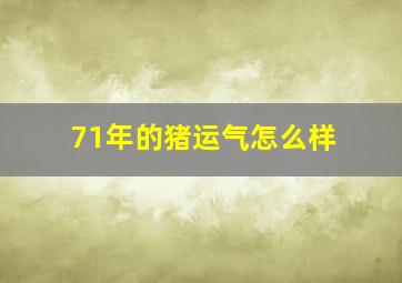 71年的猪运气怎么样