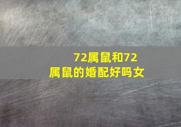 72属鼠和72属鼠的婚配好吗女