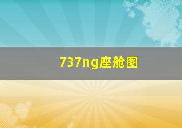 737ng座舱图