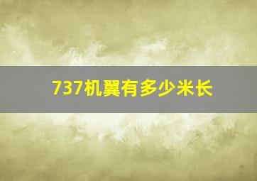 737机翼有多少米长