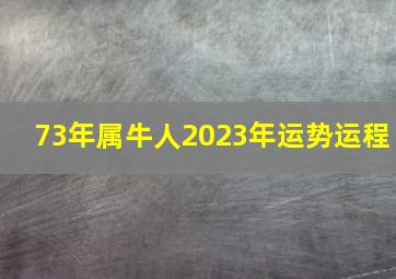 73年属牛人2023年运势运程