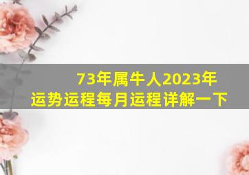 73年属牛人2023年运势运程每月运程详解一下