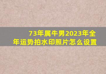 73年属牛男2023年全年运势拍水印照片怎么设置