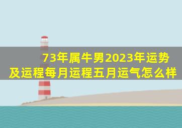 73年属牛男2023年运势及运程每月运程五月运气怎么样