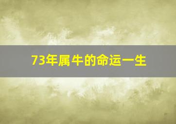 73年属牛的命运一生