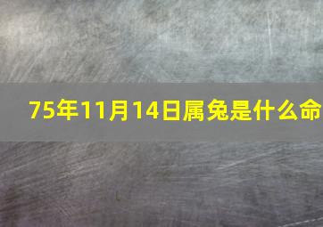 75年11月14日属兔是什么命