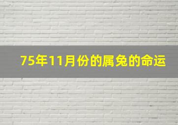 75年11月份的属兔的命运