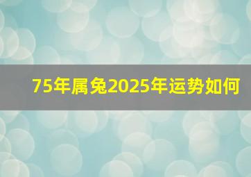 75年属兔2025年运势如何