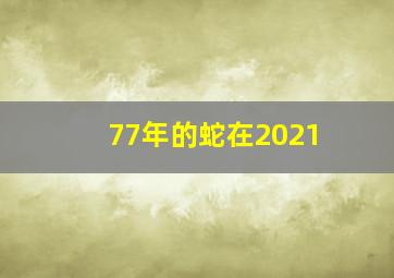 77年的蛇在2021