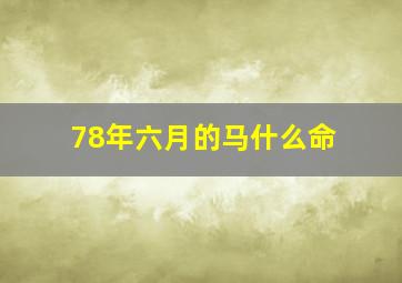 78年六月的马什么命