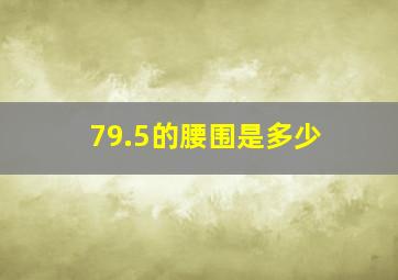 79.5的腰围是多少