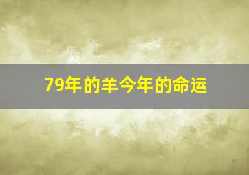 79年的羊今年的命运