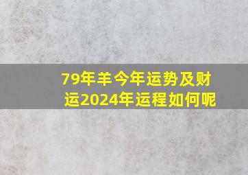 79年羊今年运势及财运2024年运程如何呢