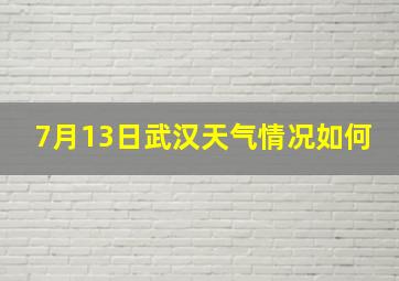 7月13日武汉天气情况如何