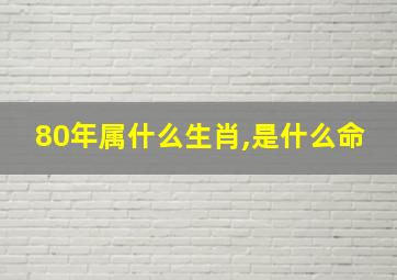 80年属什么生肖,是什么命