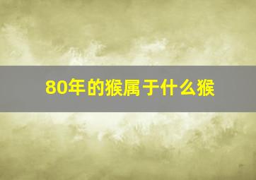 80年的猴属于什么猴