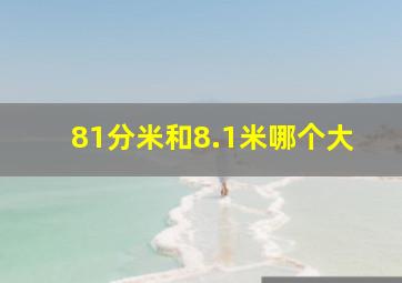 81分米和8.1米哪个大