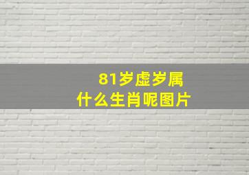 81岁虚岁属什么生肖呢图片