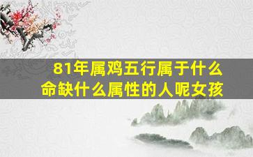 81年属鸡五行属于什么命缺什么属性的人呢女孩