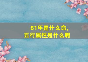 81年是什么命,五行属性是什么呢