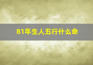 81年生人五行什么命