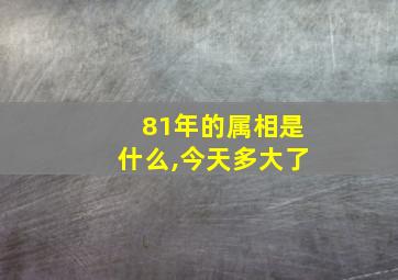 81年的属相是什么,今天多大了