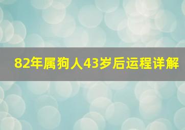 82年属狗人43岁后运程详解