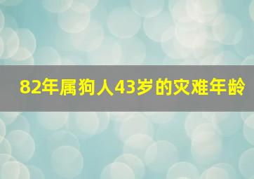 82年属狗人43岁的灾难年龄